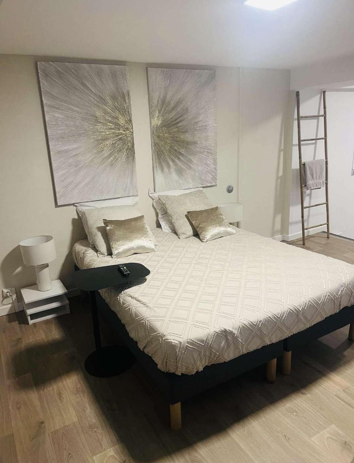 Apartment Loft Ravissant 45m2 Jacuzzi Rvb Night 2